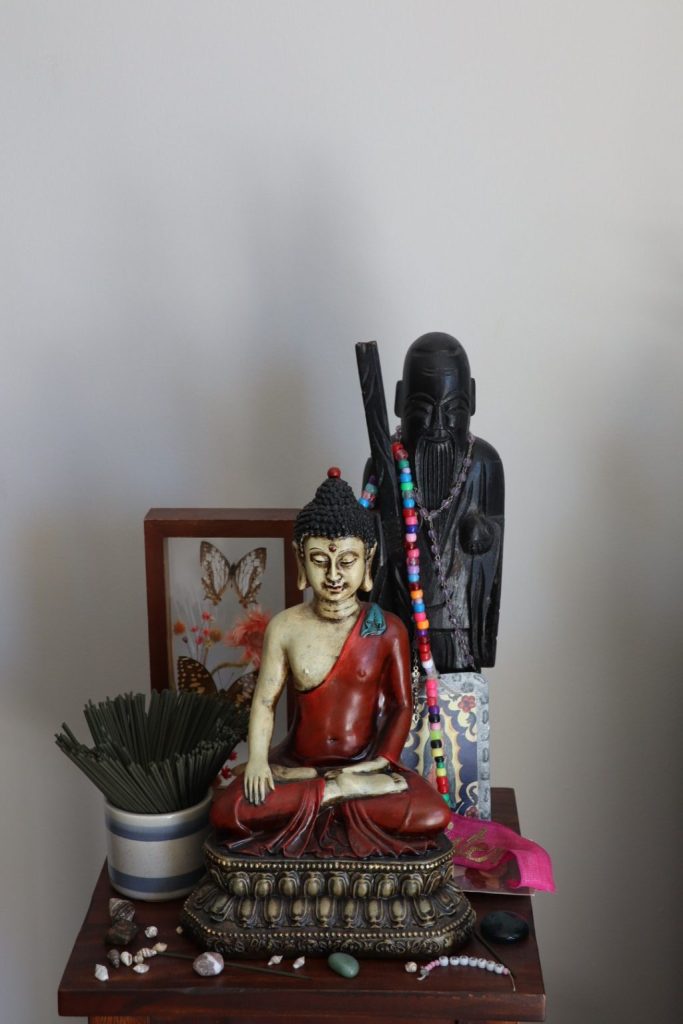 Discover the Buddha
